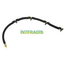 INTFRADIS 10279
